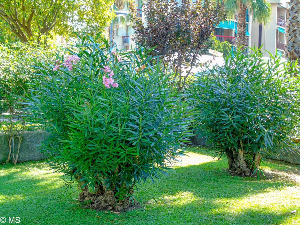 Pietra Home, Posto Auto, Ac ,Wifi, 150Mt Dal Mare Pietra Ligure Exterior foto